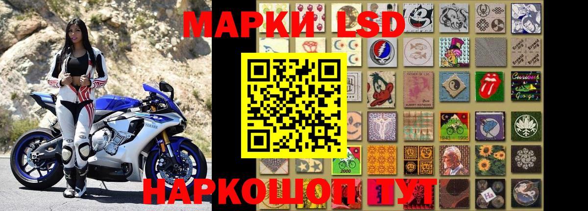 Наркотические марки 1,5мг  Вход с VPN  где можно купить наркотик  Будённовск 