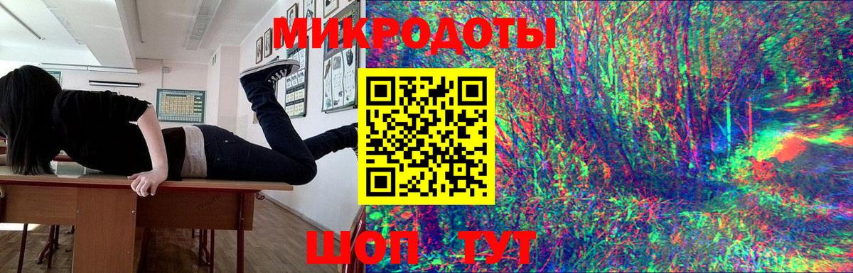 Галлюциногенные грибы Psilocybe  Будённовск 