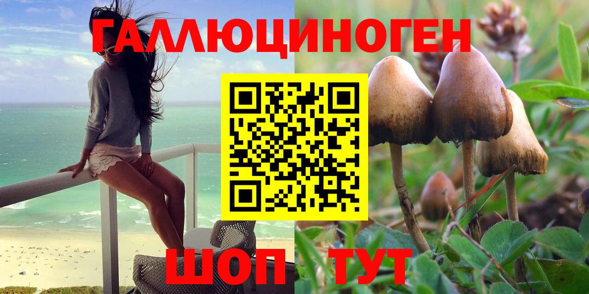 Псилоцибиновые грибы прущие грибы Будённовск